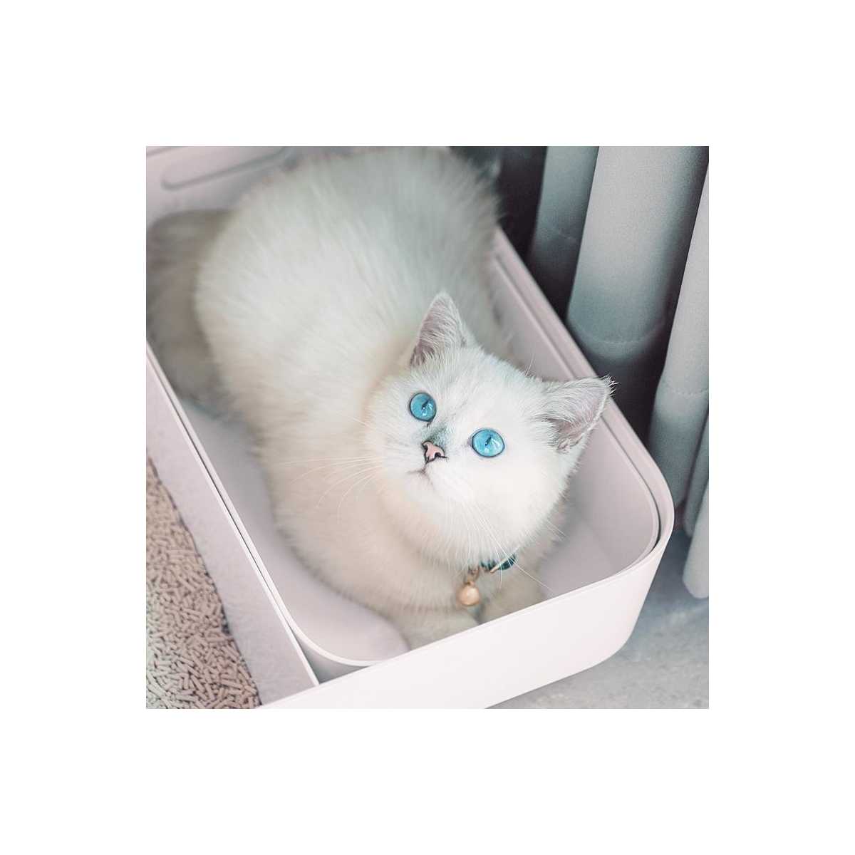 Japanese Sugar Cube Cat Litter Box