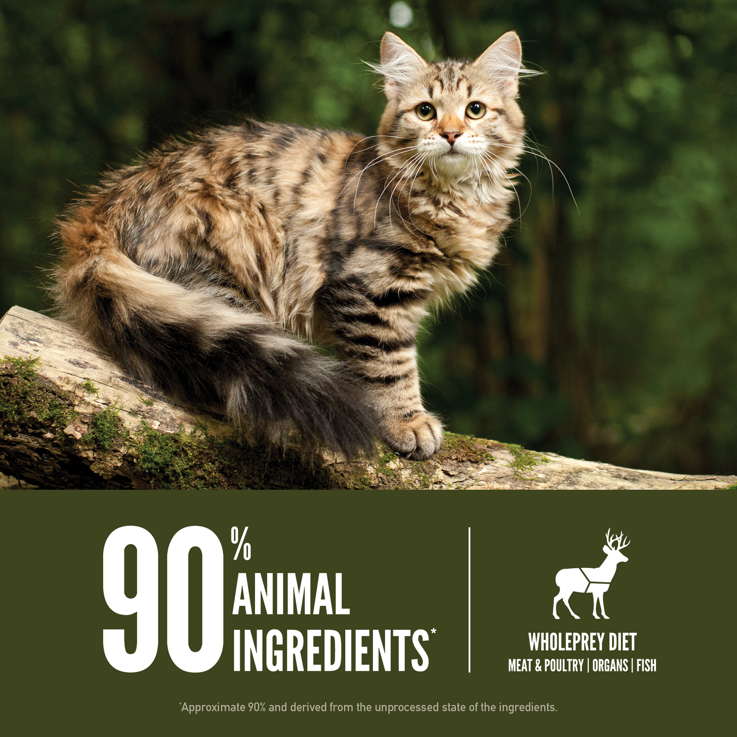ORIJEN Tundra Grain-Free Dry Cat Food 1.8kg