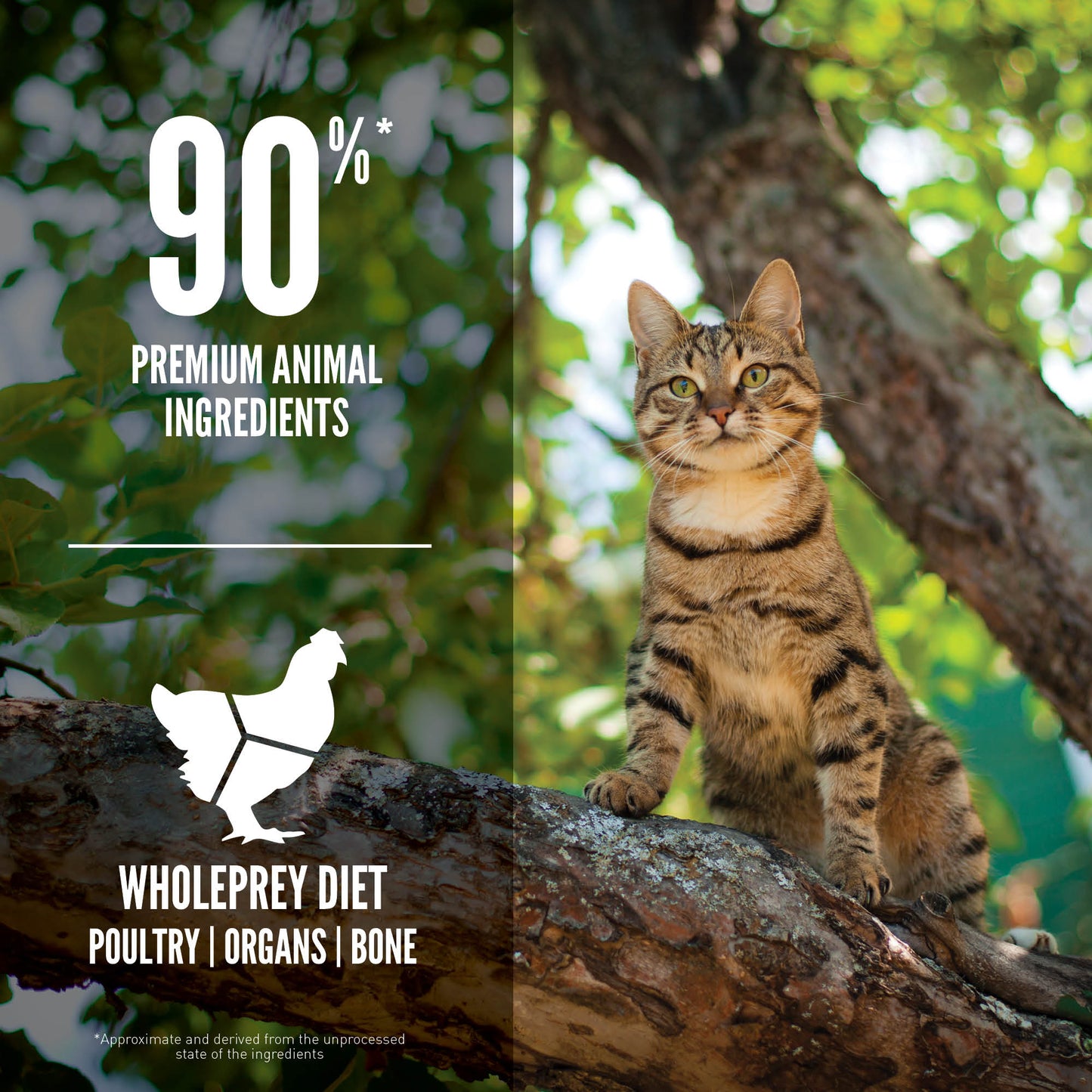 ORIJEN GUARDIAN 8™ Grain-Free Dry Cat Food