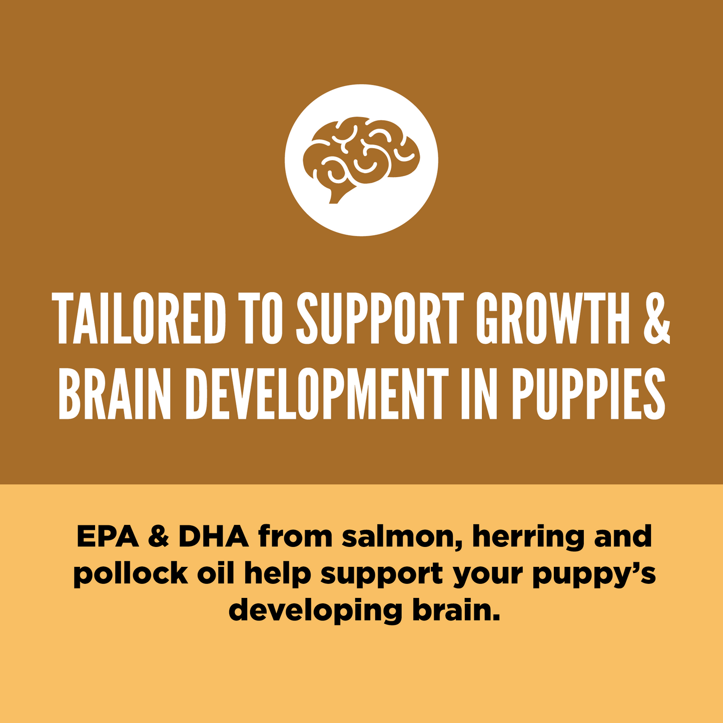 ORIJEN Puppy Grain-Free Dry Puppy Food