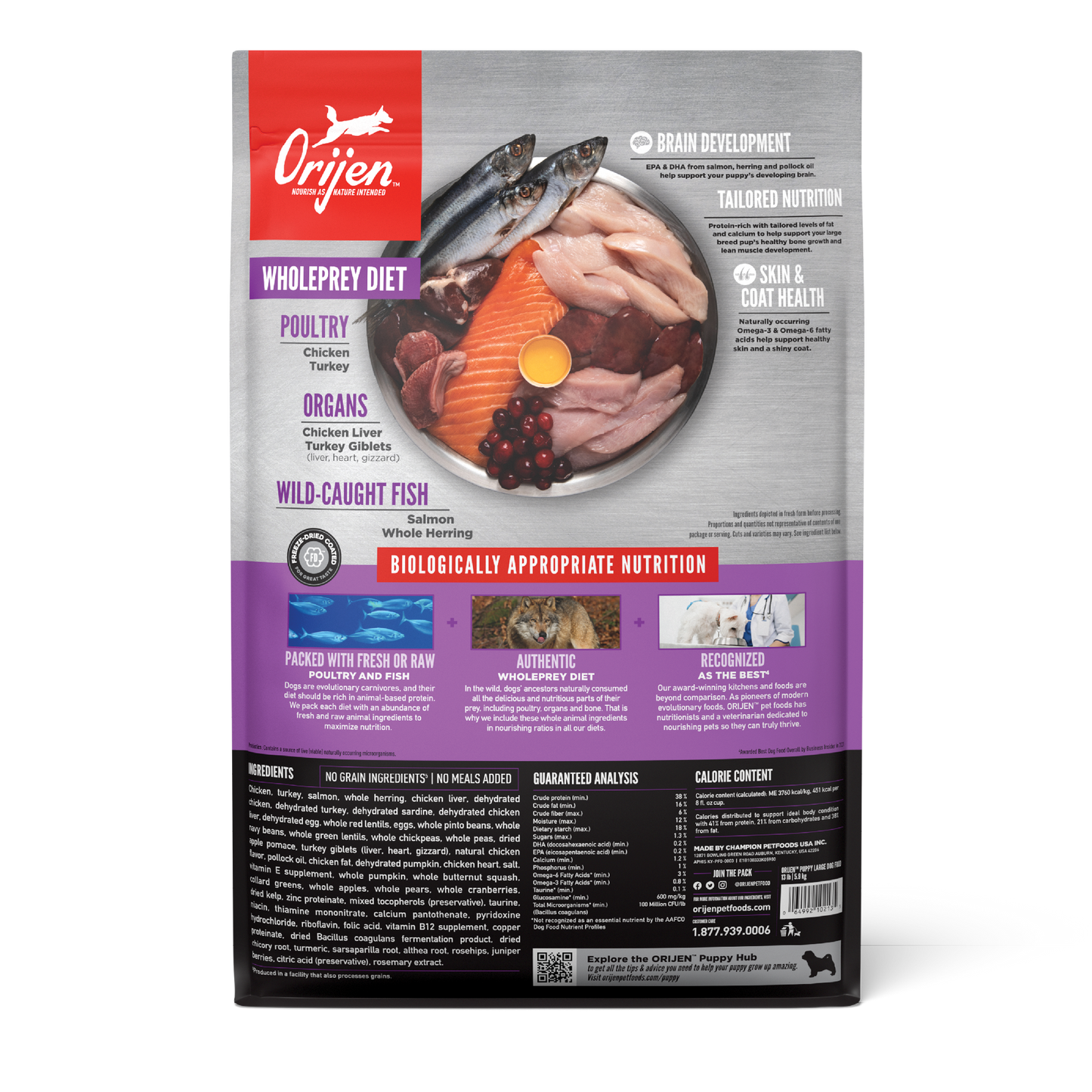 ORIJEN Puppy Large Grain-Free Dry Puppy Food 10.6KG