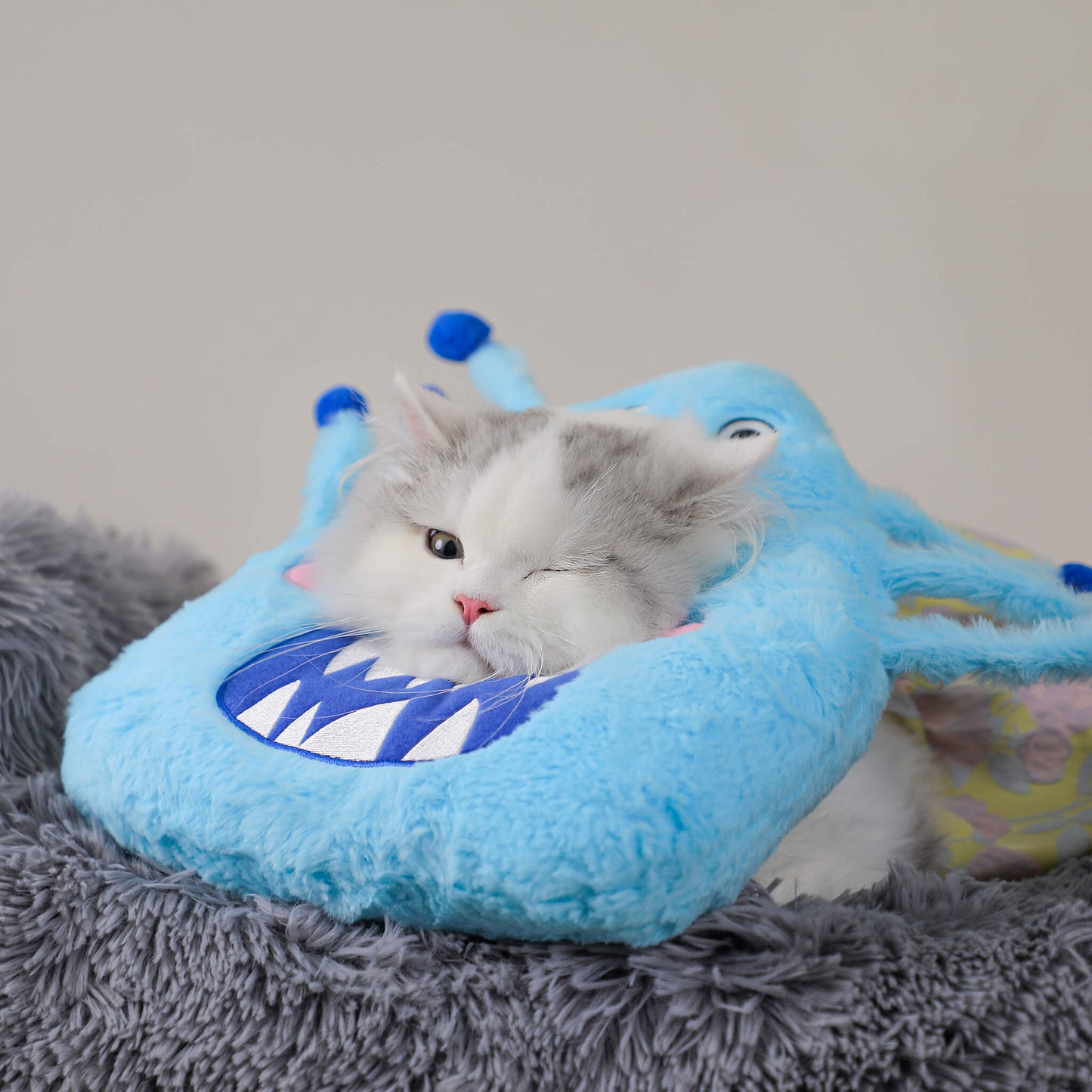 Fluffy monster pet collar