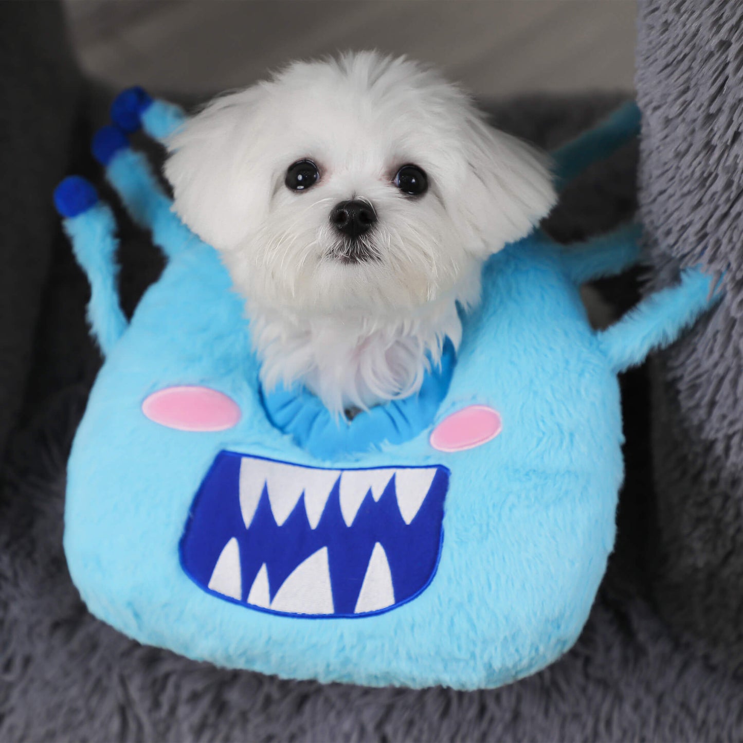 Fluffy monster pet collar