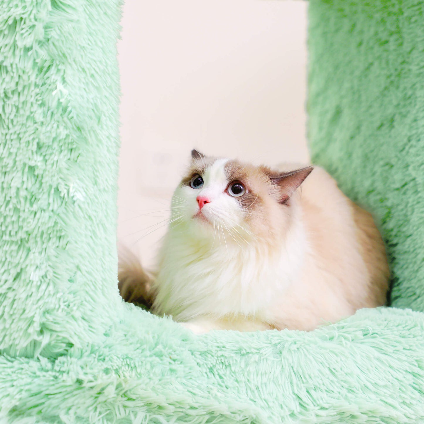 FENCE Series Pet Furniture