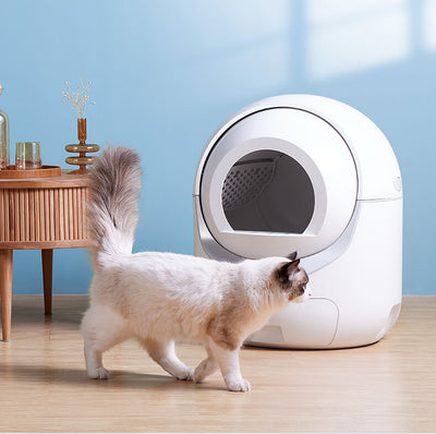 Self-Cleaning Cat Litter Box