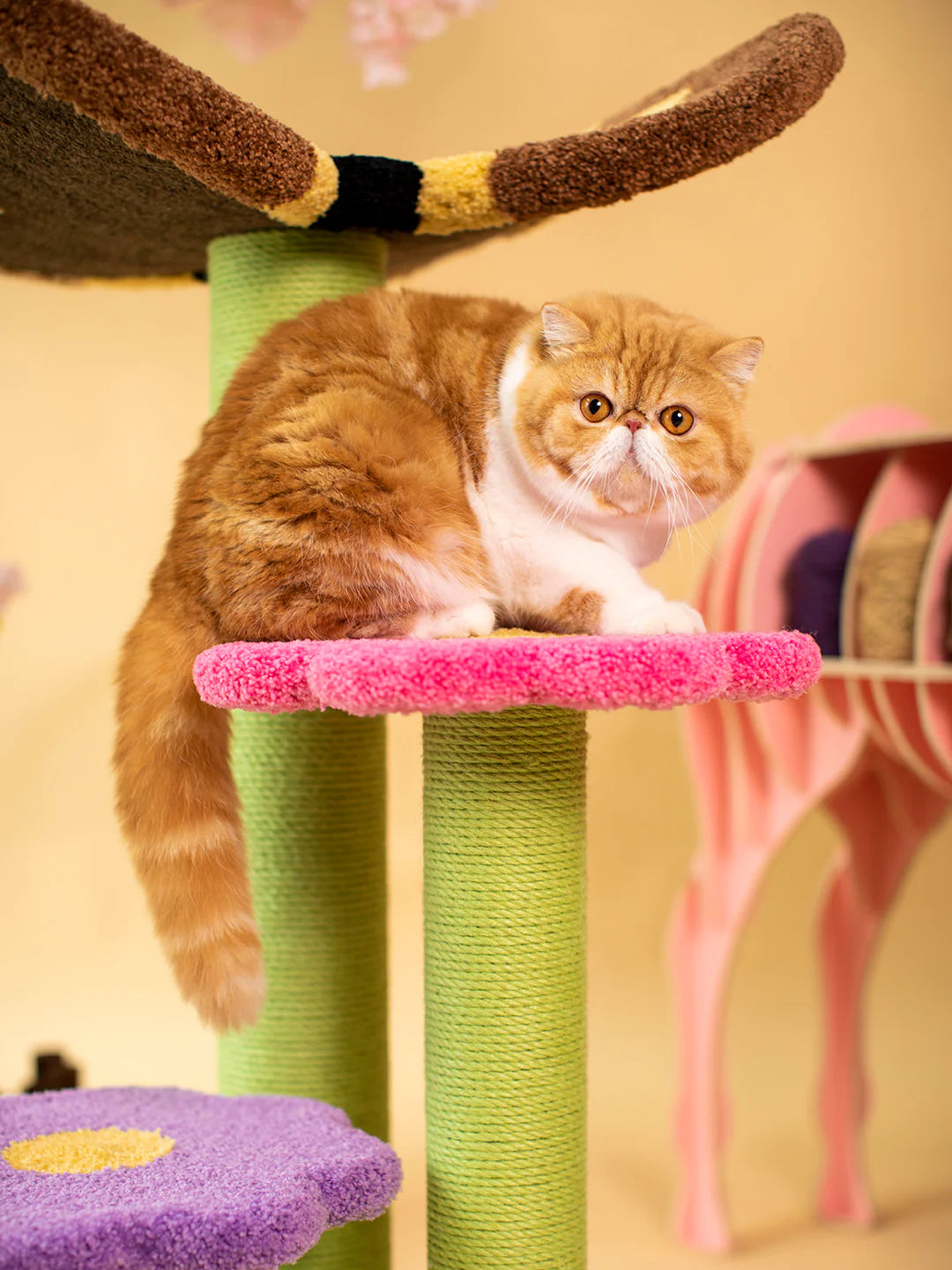 Camily "Butterfly" Climbing Cat Tree