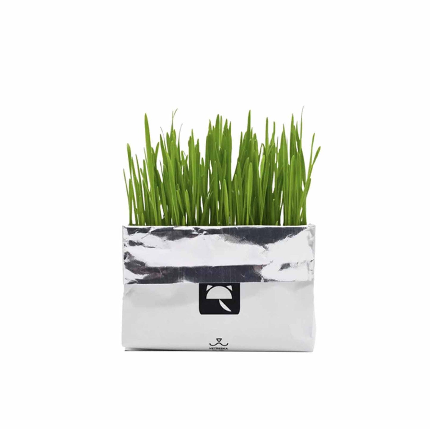 VETRESKA Cat Grass Soilless Seeds