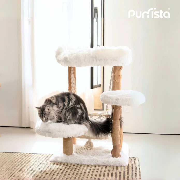 Purrista Natural Wood Hammock Cat Tree 92cm – White