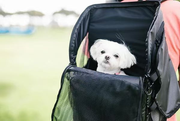Black Pet Travel Backpack Carrier for Dogs & Cats | Car-Seat Safe Design with Safety Buckle, Mesh Ventilation & Side Storage Pockets