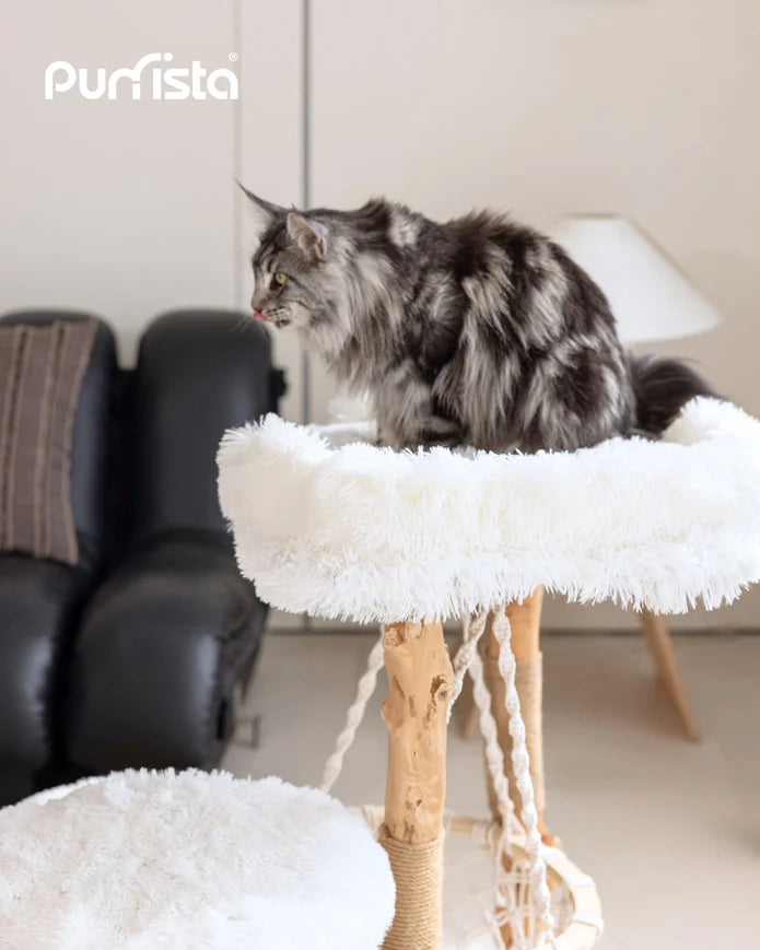 Purrista Natural Wood Hammock Cat Tree 92cm – White