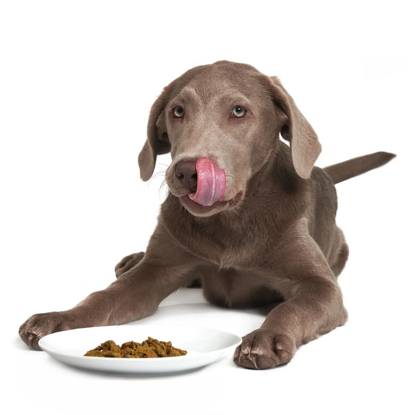 Smack Very Berry Chicken Dog Dry Food