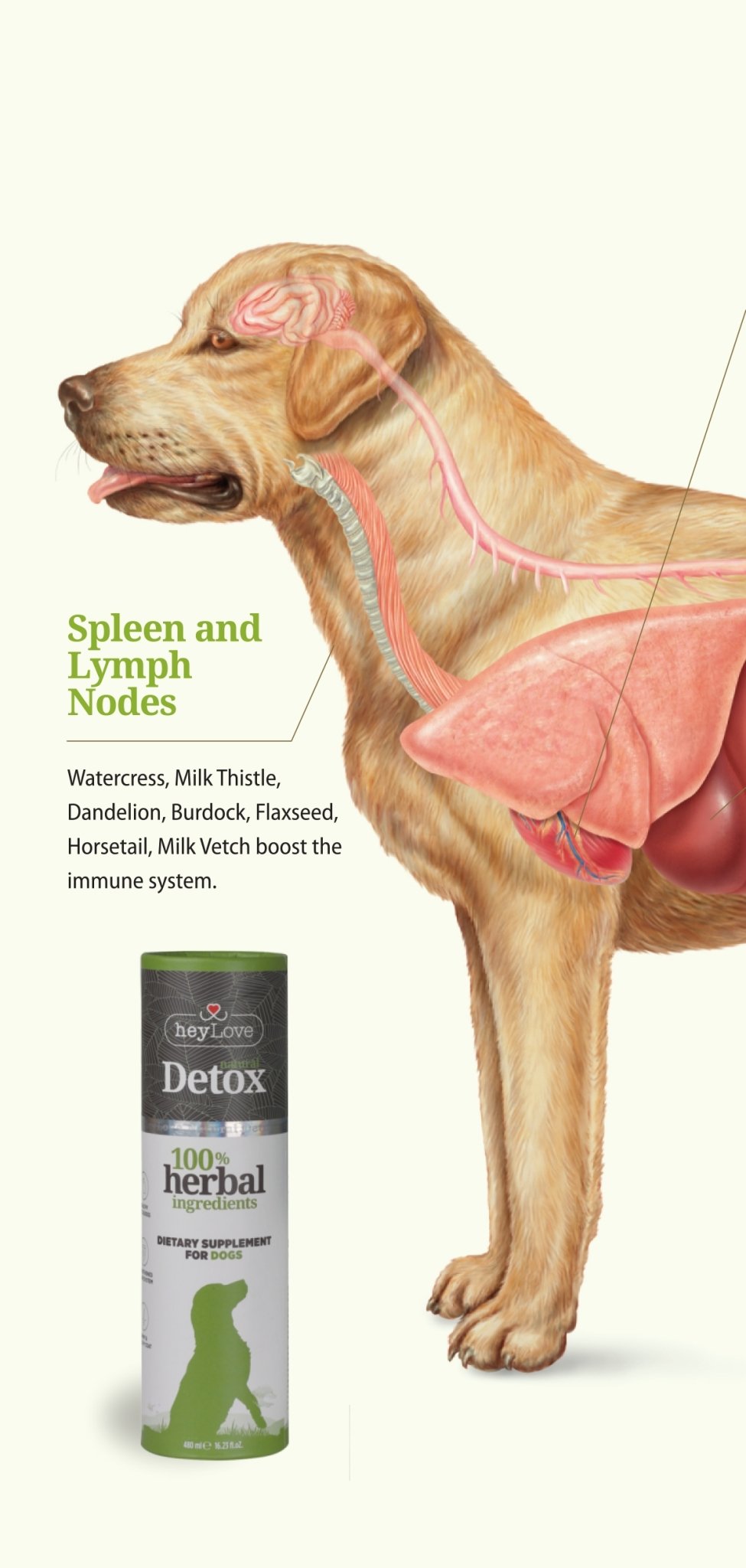 heyLove Herbal Dog Detox 480ml