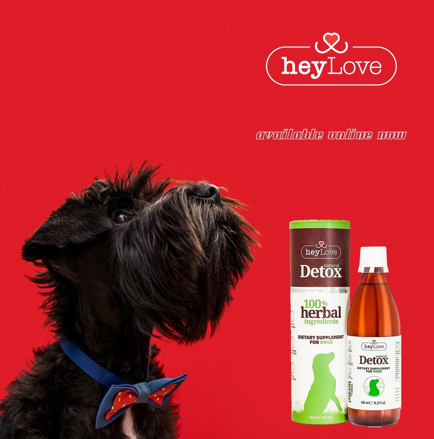 heyLove Herbal Dog Detox 480ml