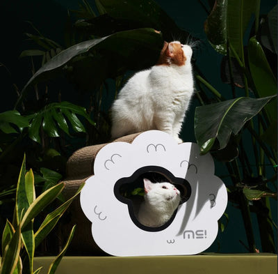 Makesure WOWO Cat Scratching Board Bed - Chokyo Pet