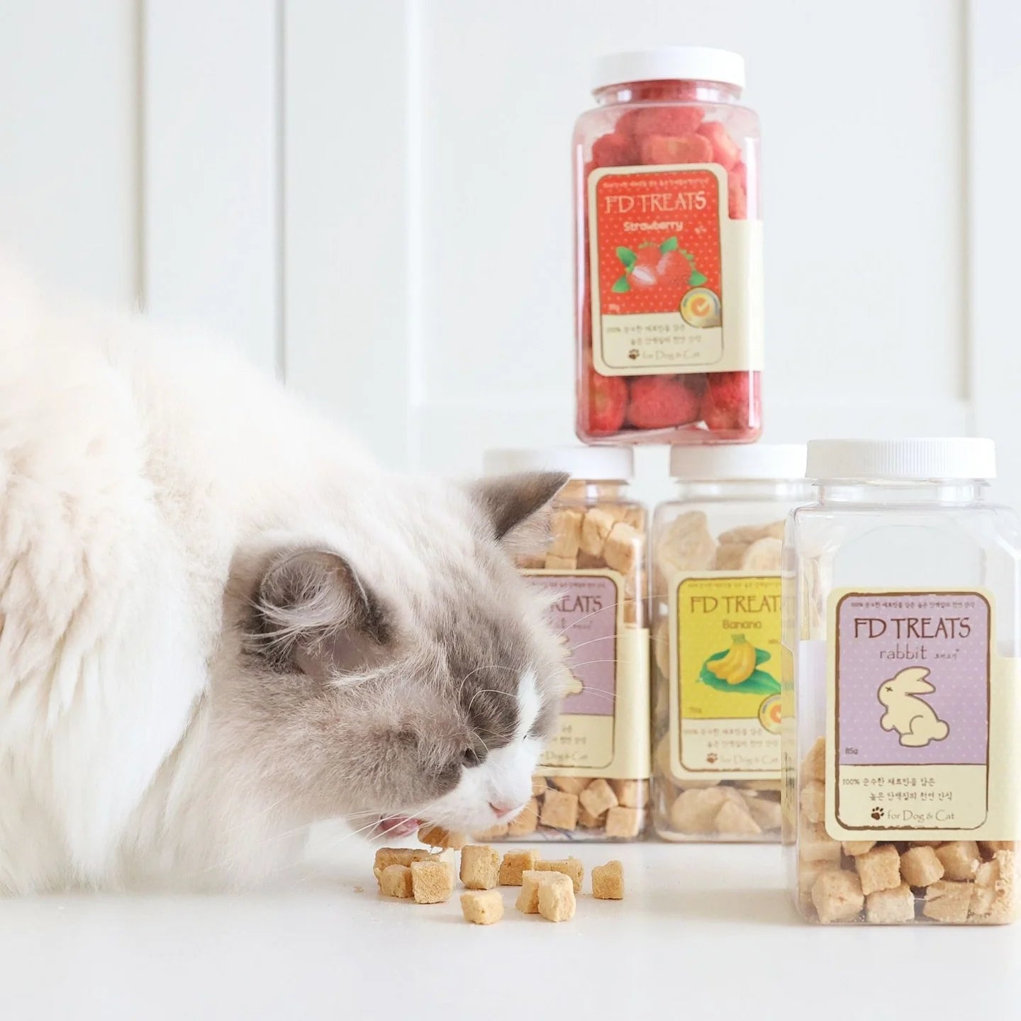 FD TREATS - Mixed Freeze-Dried Treat Bundle (5 Flavours) | Best Value