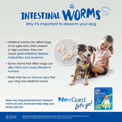 NexGard Spectra For Very Small Dogs 2-3.5kg (Orange)