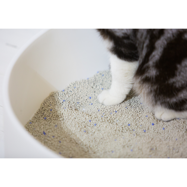 Pidan Bentonite Cat Litter Replacement | Petshy Naji-Ore 4.5kg Alternative | Strong Clumping, Low Dust & Odour Control