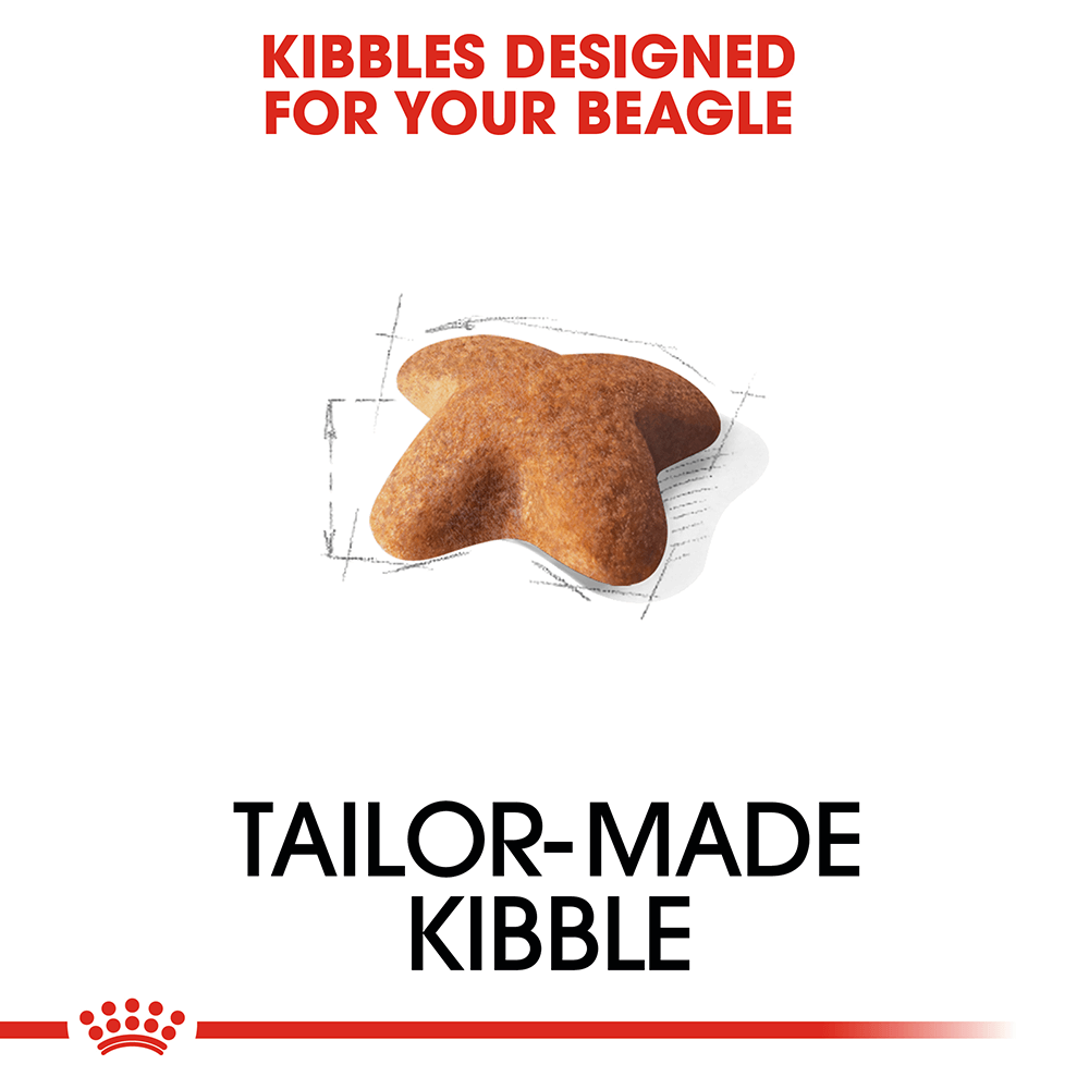 Royal Canin Beagle Dog Food