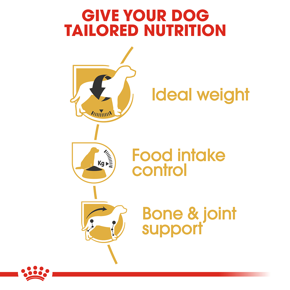 Royal Canin Beagle Dog Food