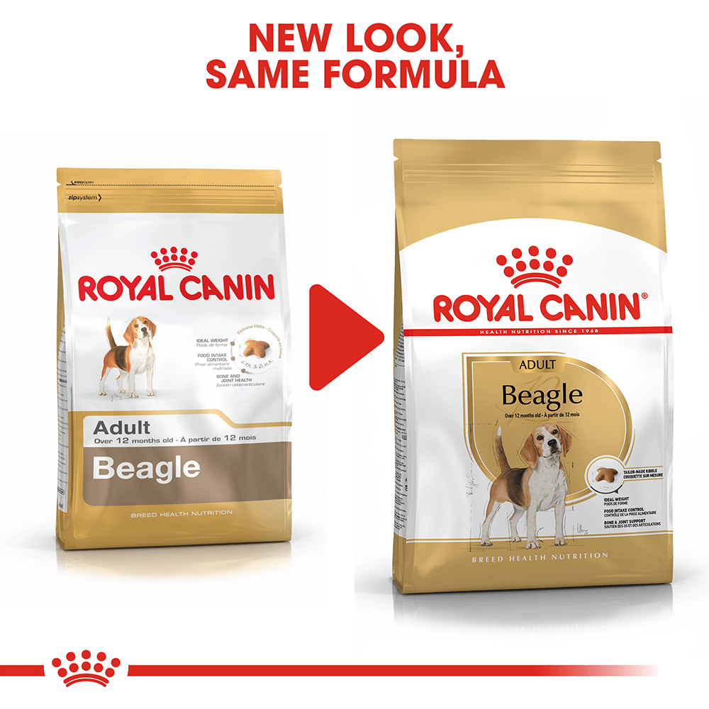 Royal Canin Beagle Dog Food