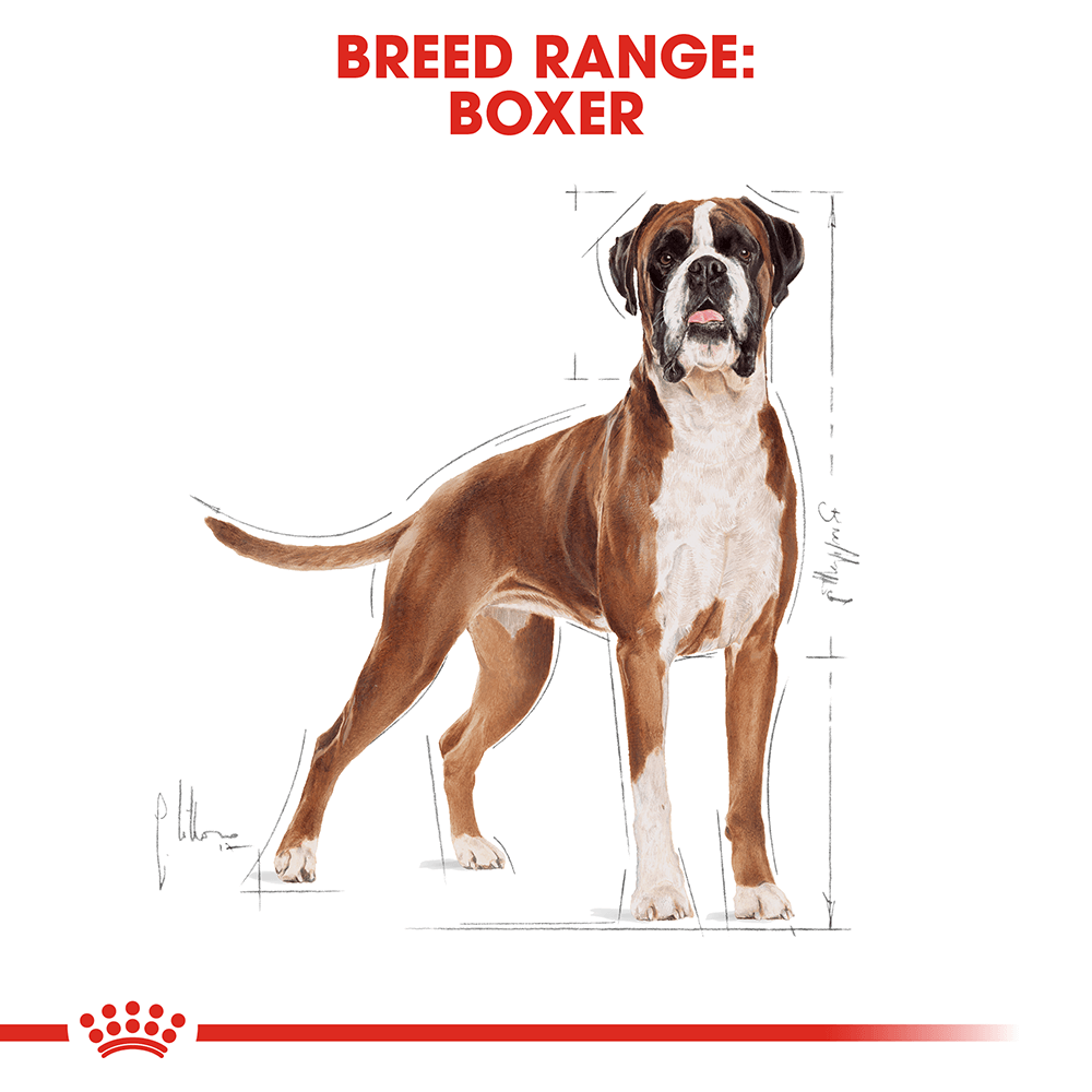 Royal Canin Boxer Adult Dog Food