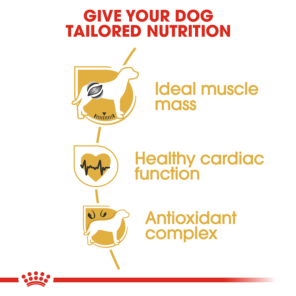Royal Canin Boxer Adult Dog Food
