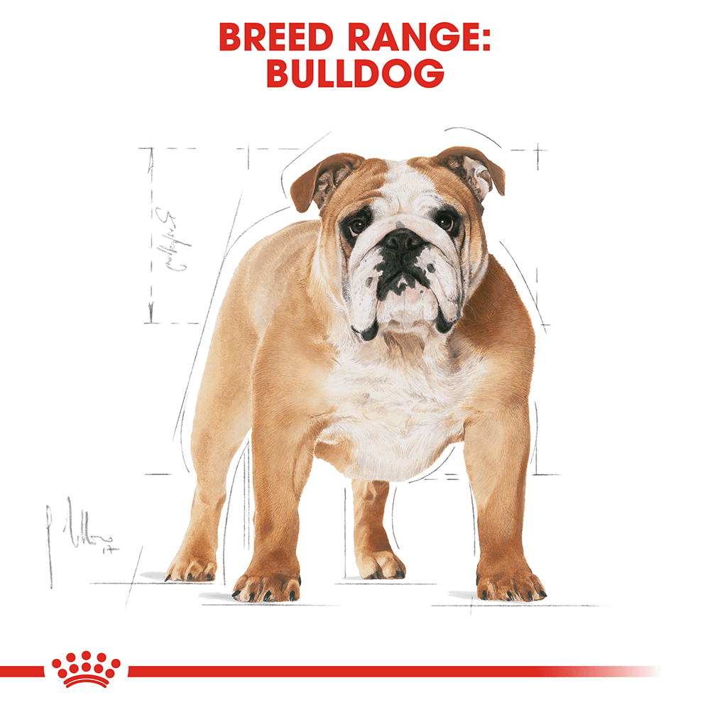 Royal Canin Bulldog Adult Dog Food