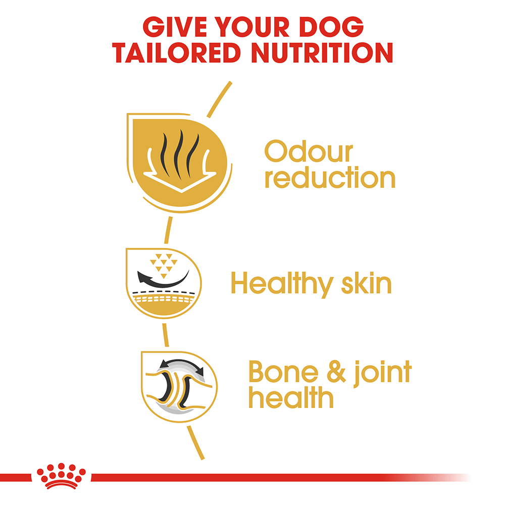 Royal Canin Bulldog Adult Dog Food