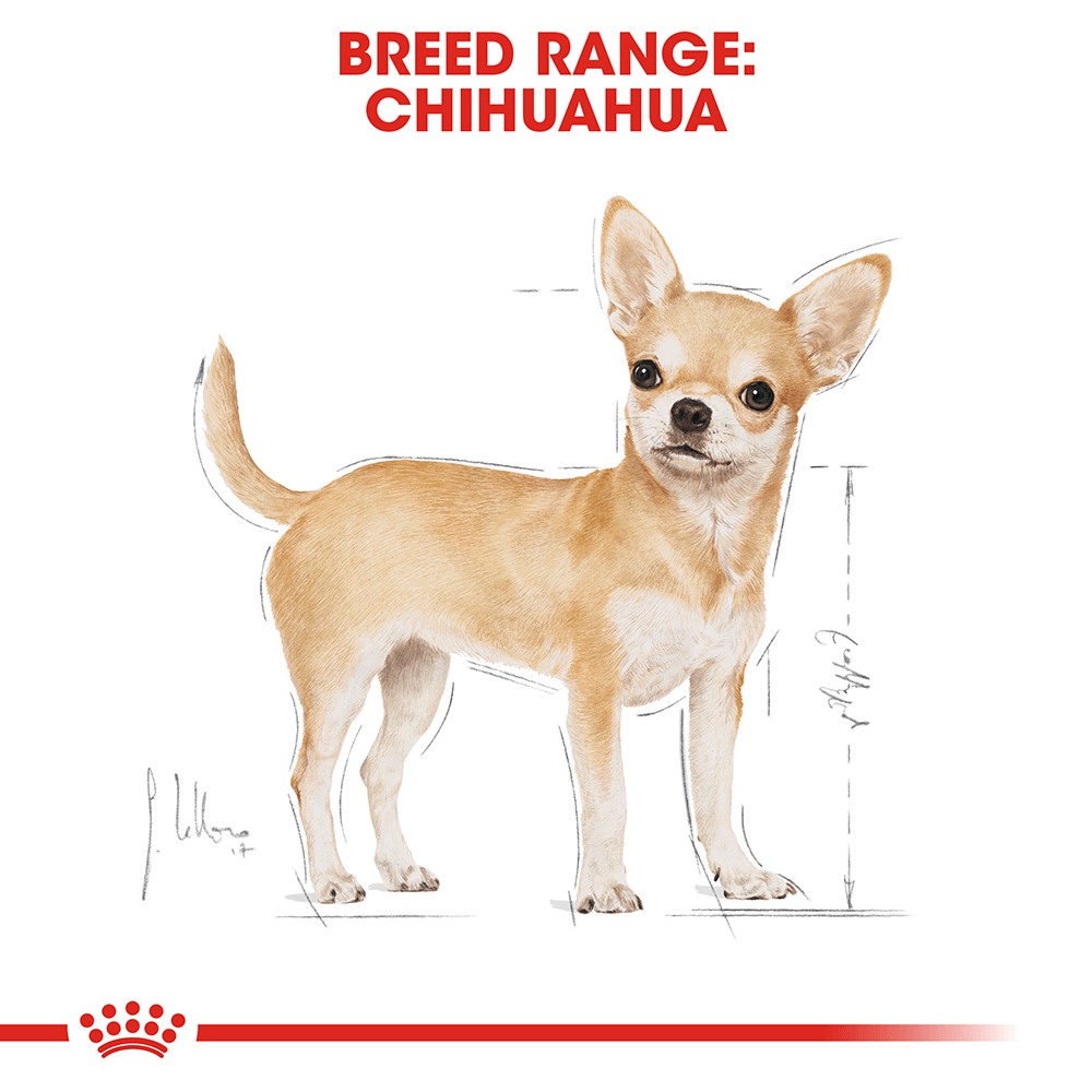 Royal Canin Chihuahua Adult Wet Dog Food Pouches