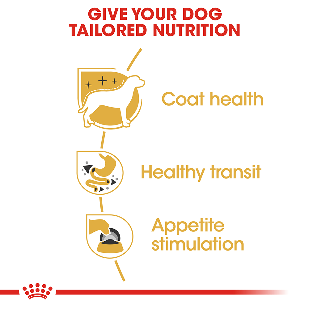Royal Canin Chihuahua Adult Wet Dog Food Pouches
