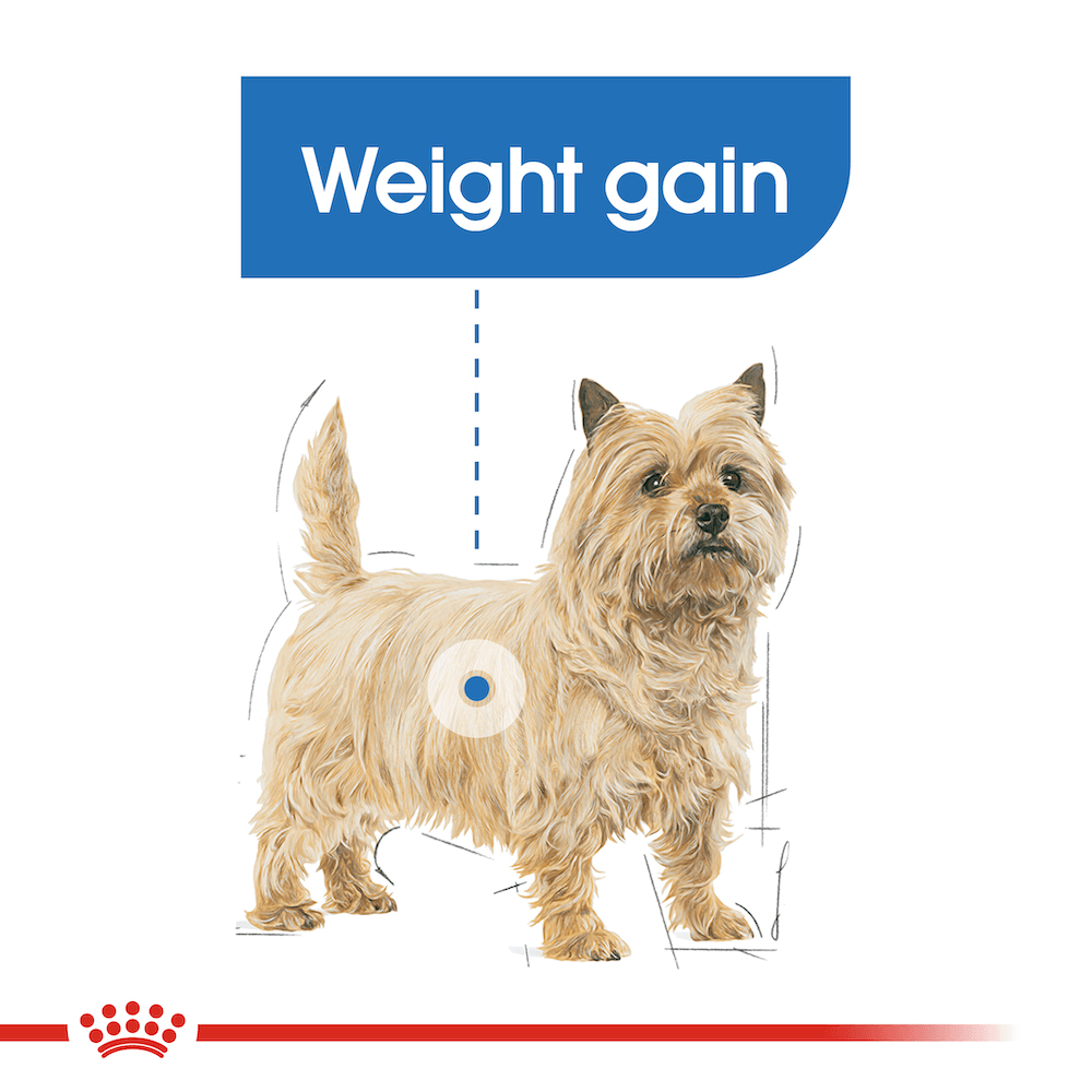 Royal Canin Light Weight Care Loaf Adult Wet Dog Food Pouches