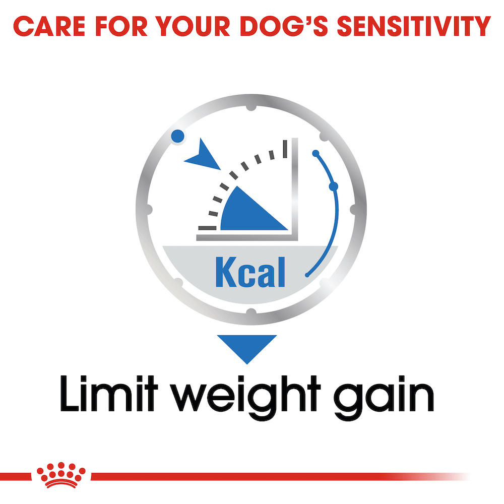 Royal Canin Light Weight Care Loaf Adult Wet Dog Food Pouches