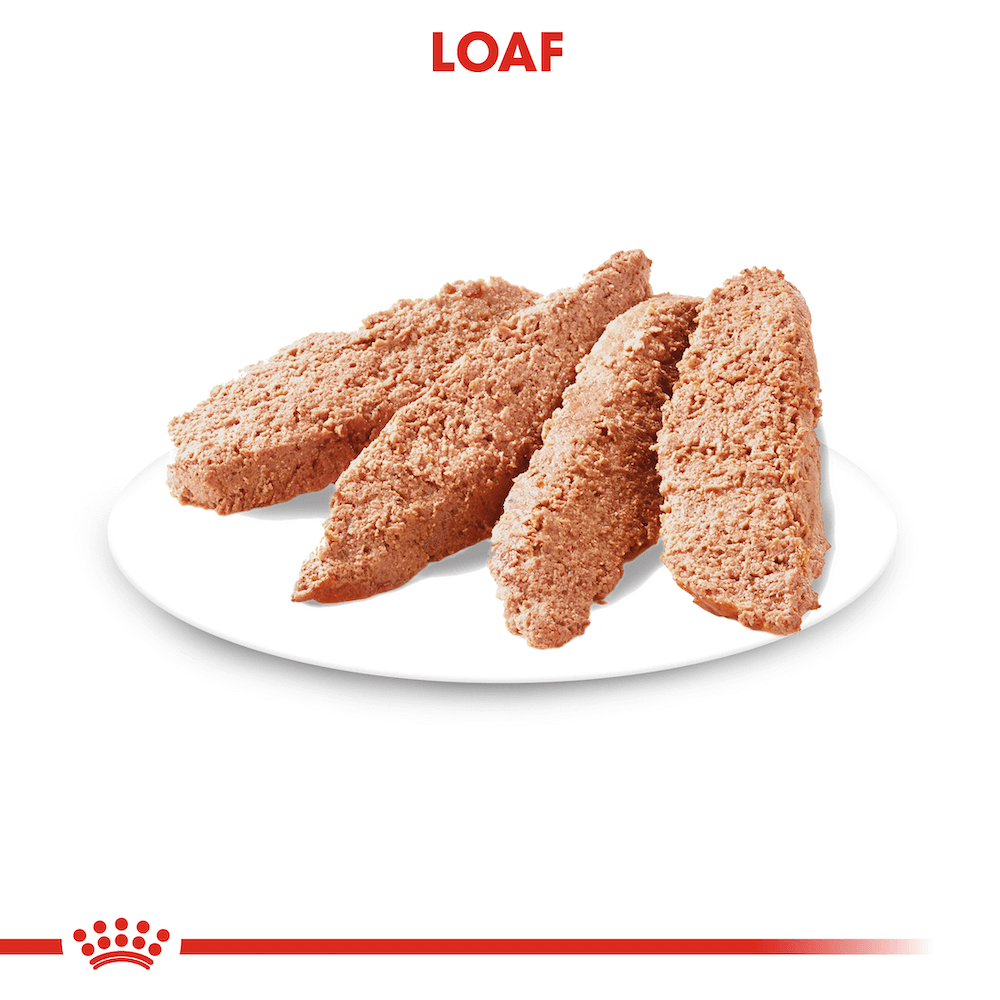Royal Canin Light Weight Care Loaf Adult Wet Dog Food Pouches