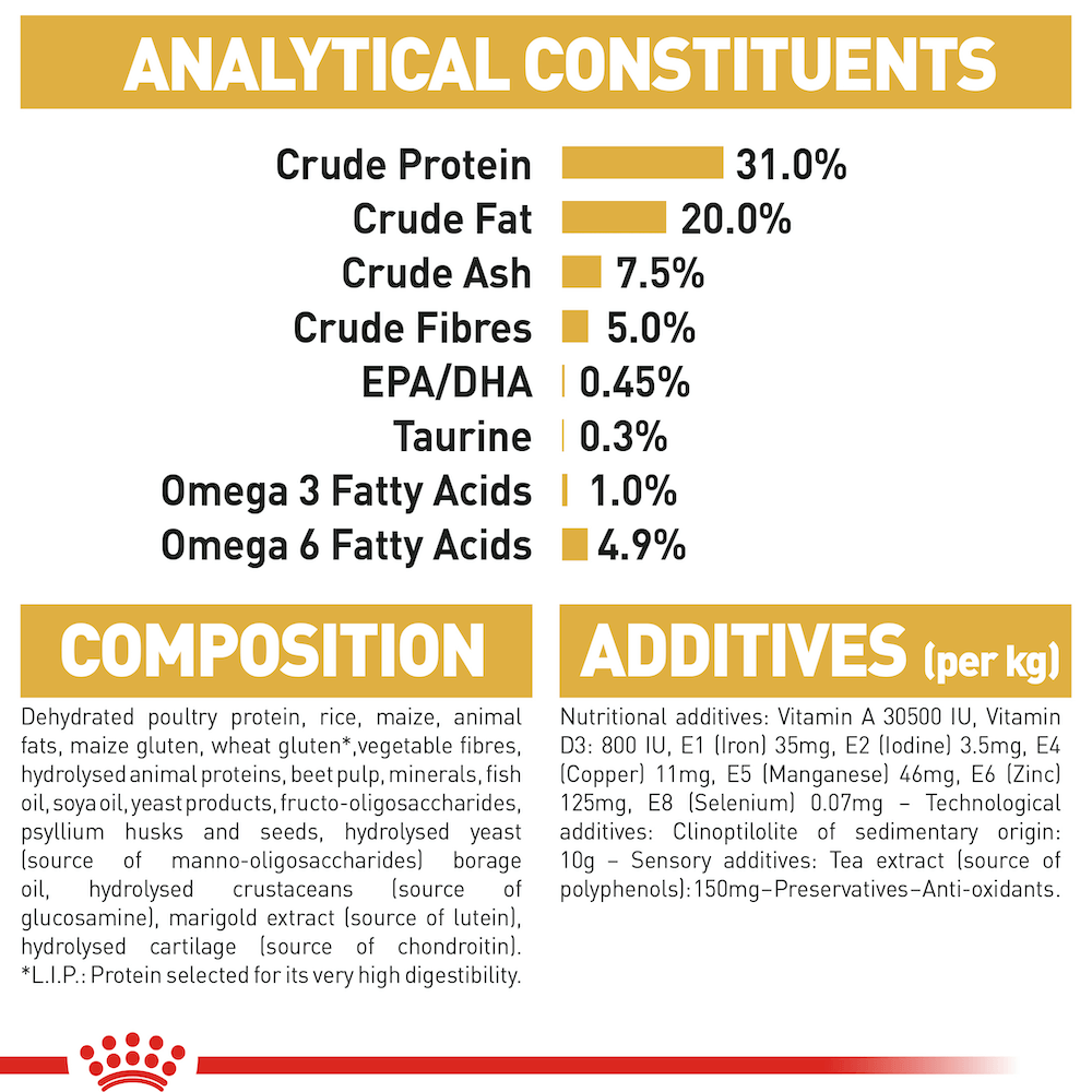 Royal Canin Maine Coon Adult Cat Food