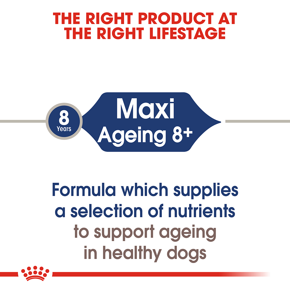 Royal Canin Maxi Ageing 8 Plus Senior Wet Dog Food Pouches