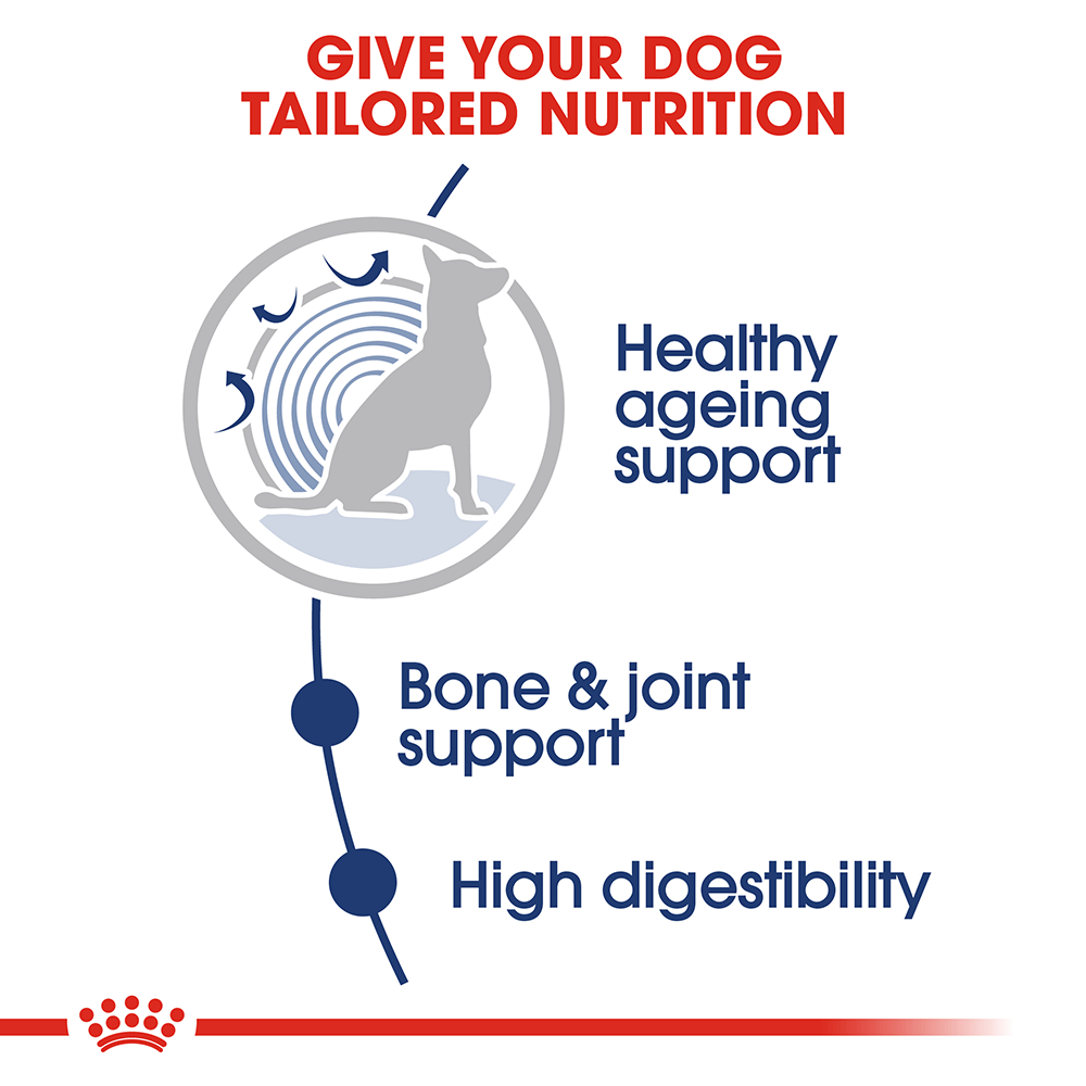 Royal Canin Maxi Ageing 8 Plus Senior Wet Dog Food Pouches