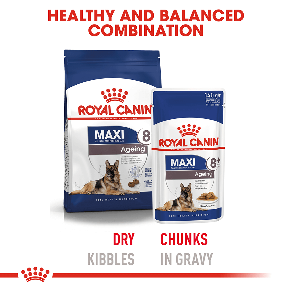 Royal Canin Maxi Ageing 8 Plus Senior Wet Dog Food Pouches
