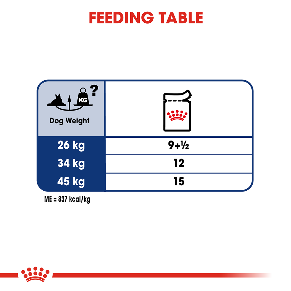 Royal Canin Maxi Ageing 8 Plus Senior Wet Dog Food Pouches