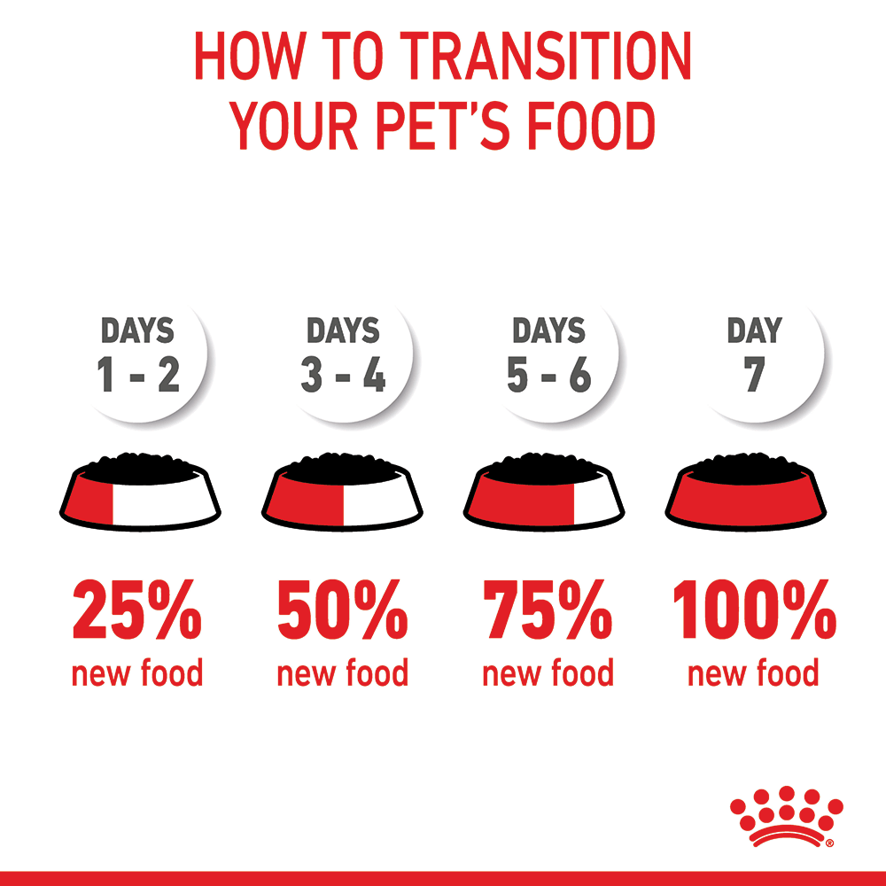 Royal Canin Maxi Puppy Wet Dog Food Pouches