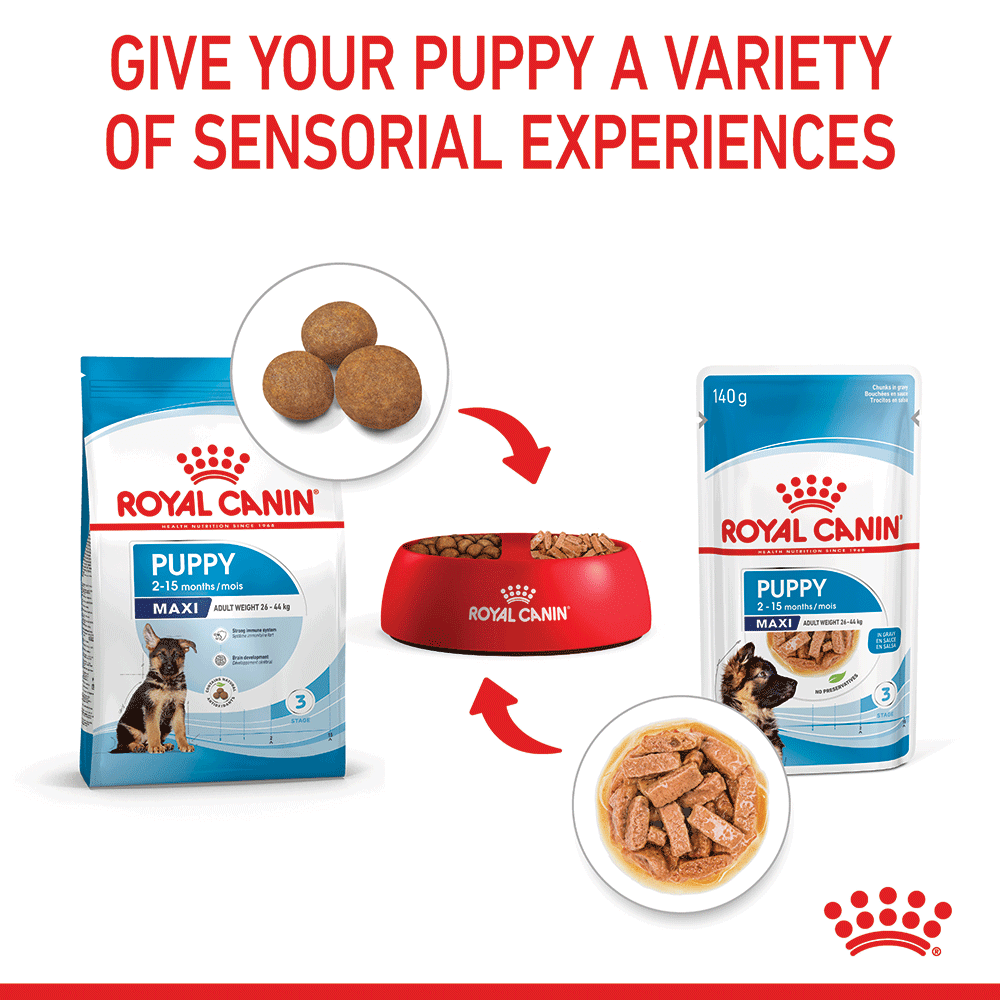 Royal Canin Maxi Puppy Wet Dog Food Pouches