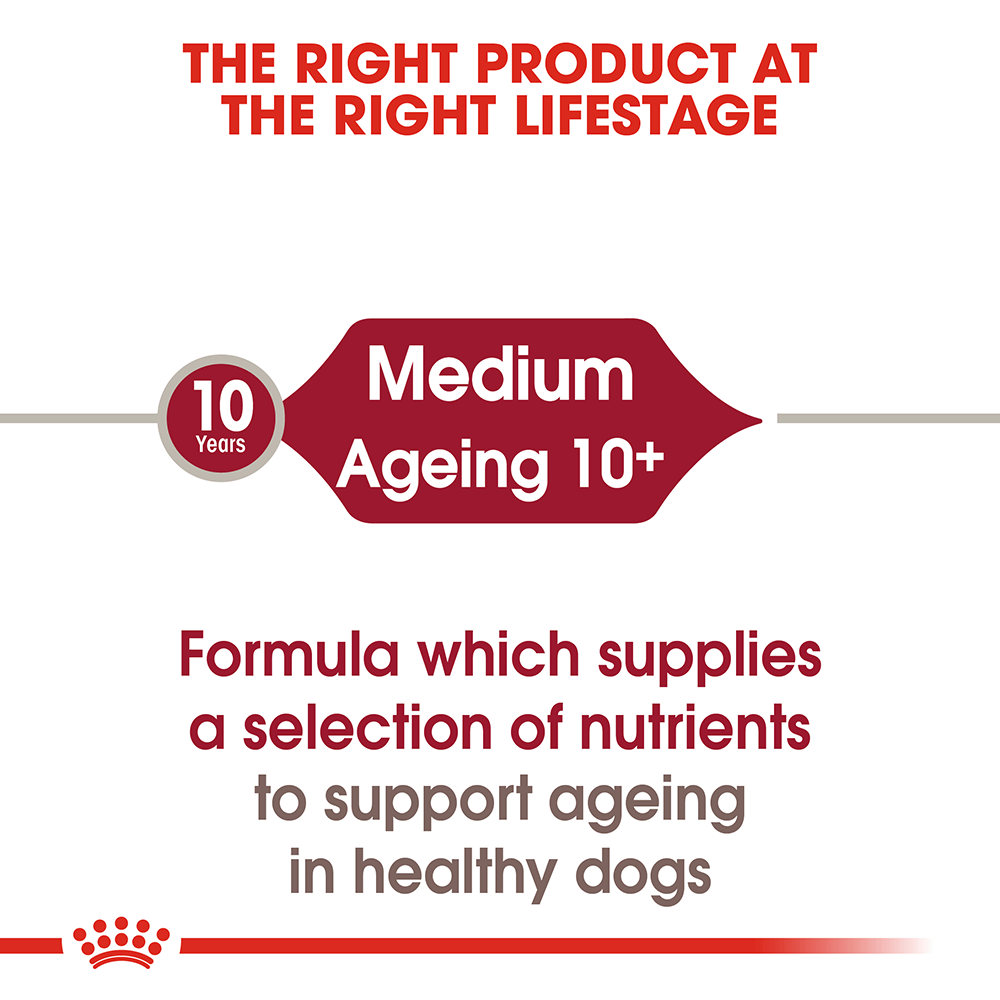 Royal Canin Medium Ageing 10 Plus Senior Wet Dog Food Pouches