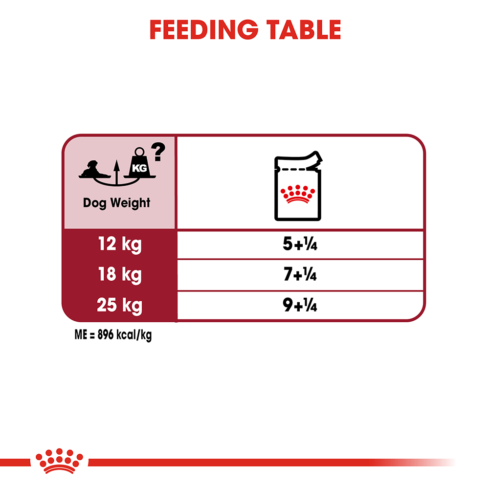 Royal Canin Medium Ageing 10 Plus Senior Wet Dog Food Pouches