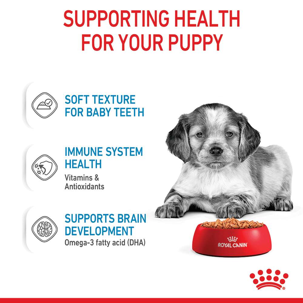 Royal Canin Medium Puppy Wet Dog Food Pouches