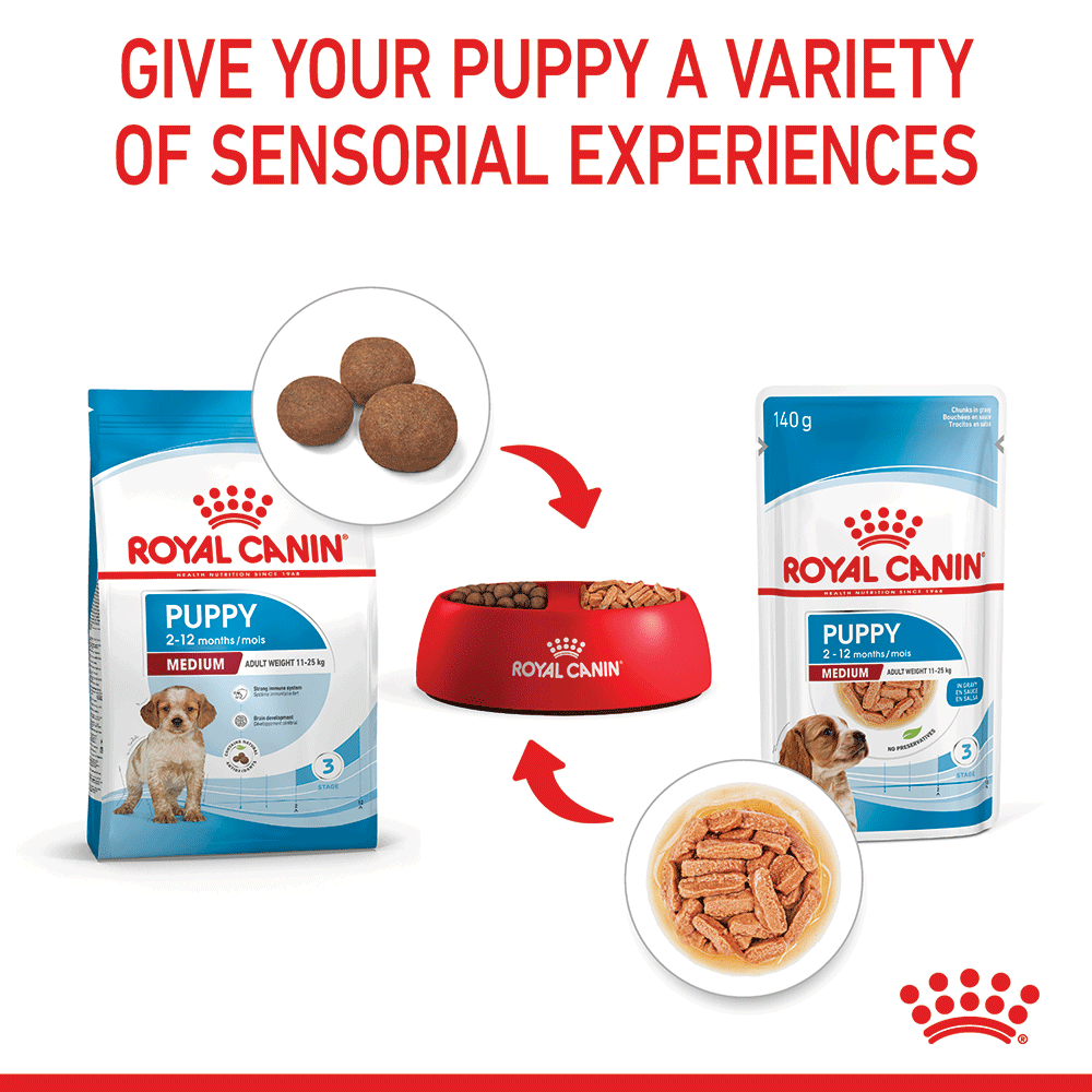 Royal Canin Medium Puppy Wet Dog Food Pouches