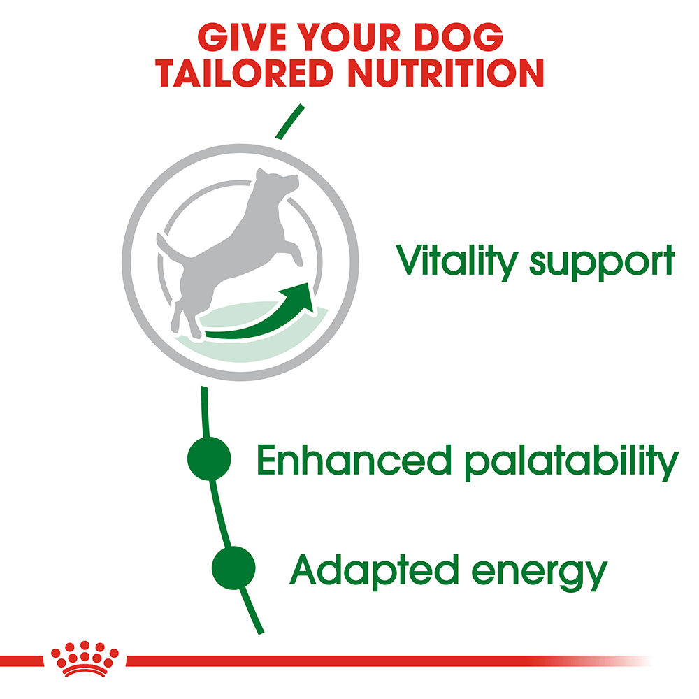 Mini Adult 8 Plus Adult Dry Dog Food 2kg