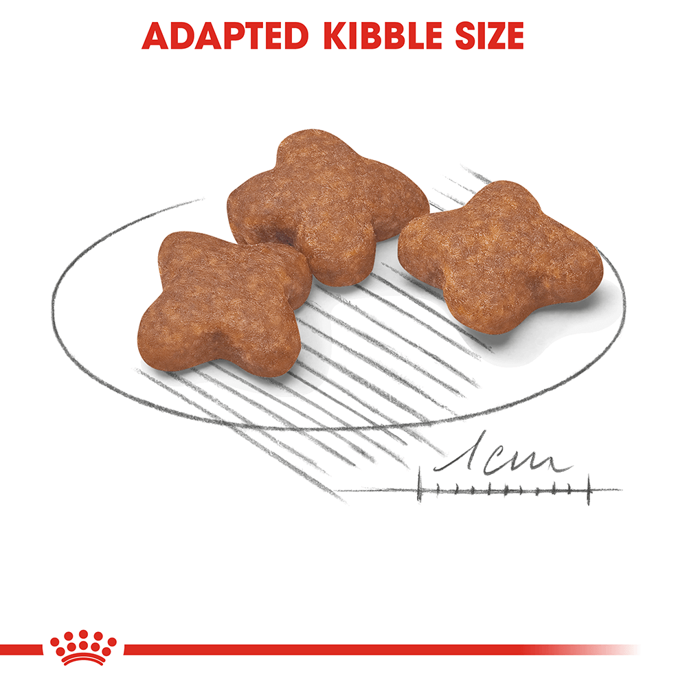 Mini Adult 8 Plus Adult Dry Dog Food 2kg