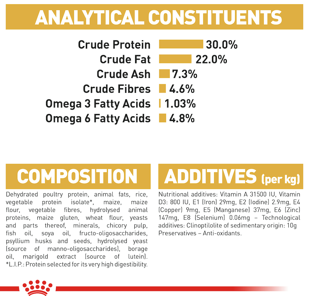 Royal Canin Persian Adult Cat Food