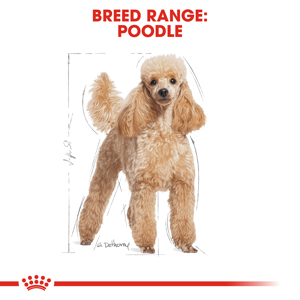 Royal Canin Poodle Adult Dog Food