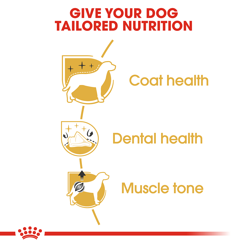 Royal Canin Poodle Adult Dog Food