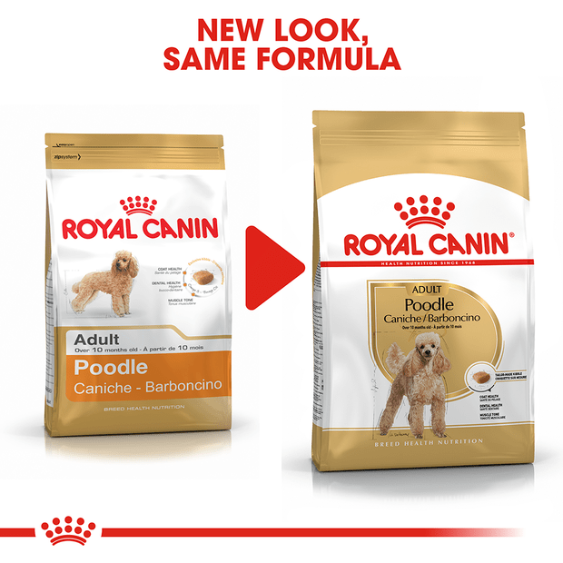 Royal Canin Poodle Adult Dog Food